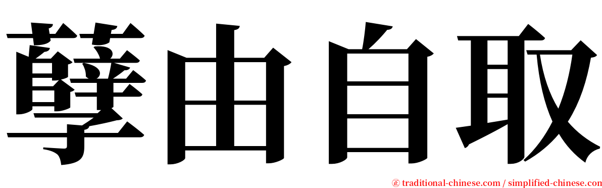 孽由自取 serif font