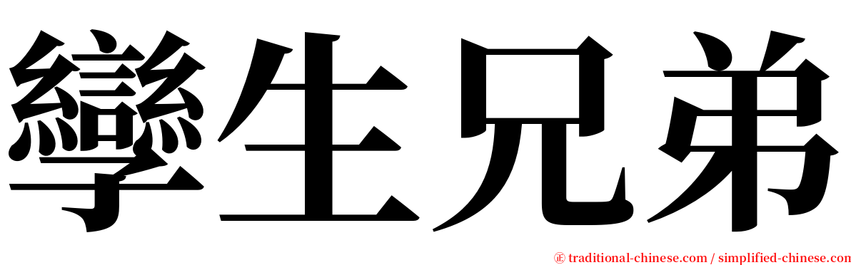 孿生兄弟 serif font