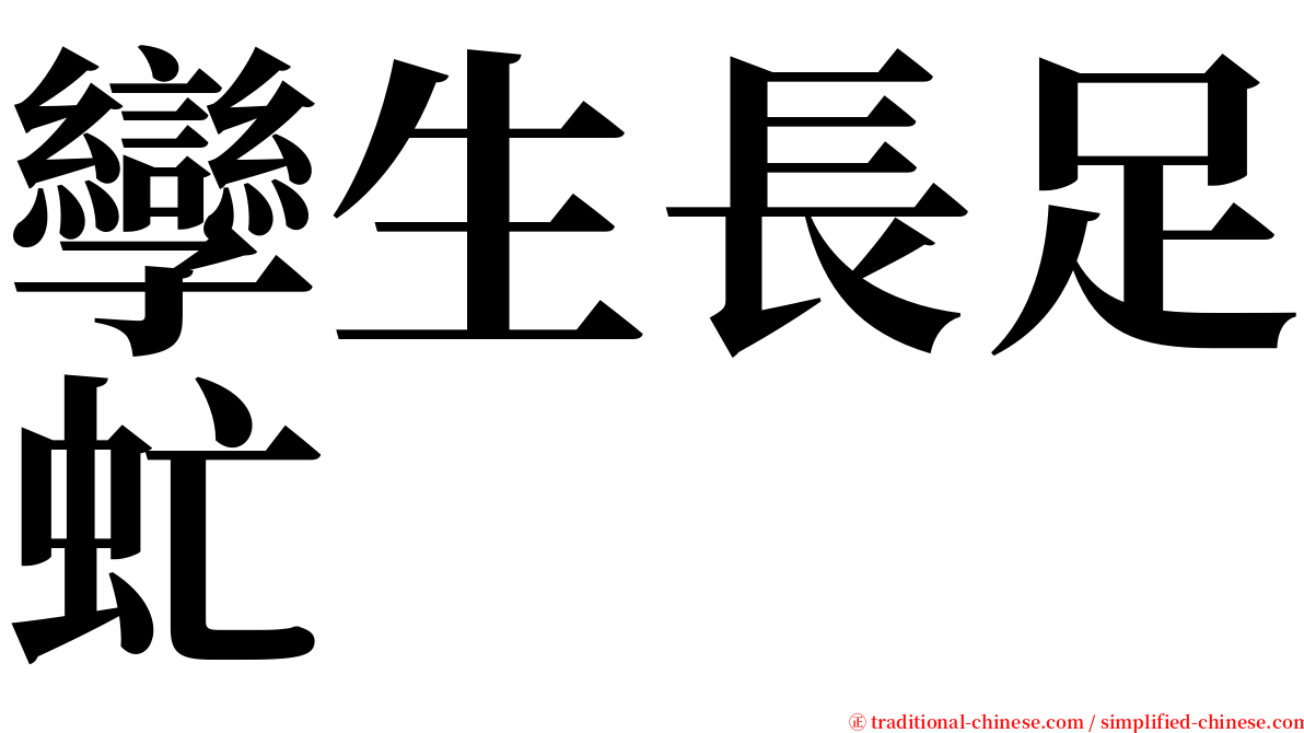 孿生長足虻 serif font