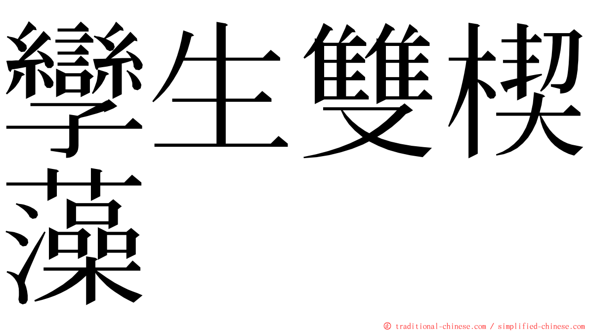 孿生雙楔藻 ming font