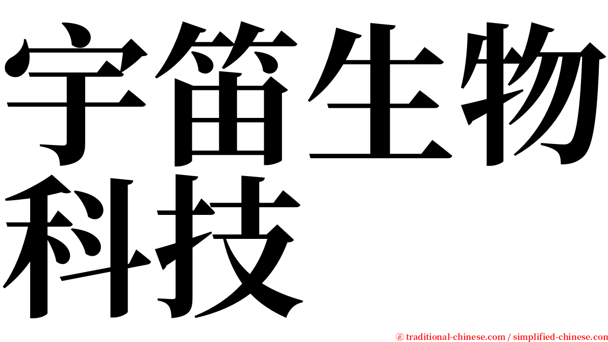 宇笛生物科技 serif font