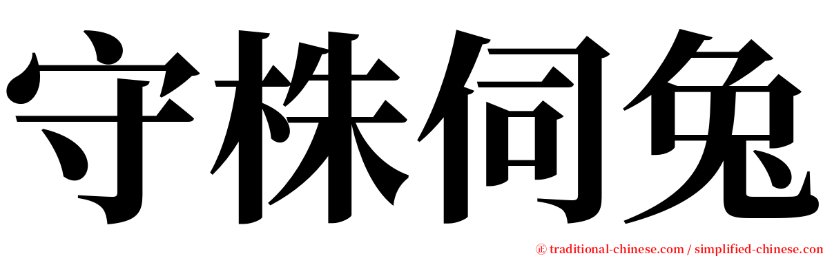 守株伺兔 serif font