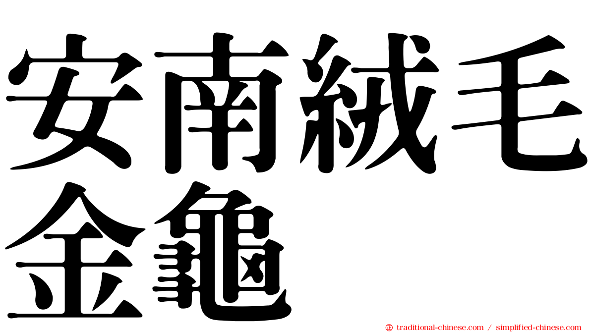 安南絨毛金龜