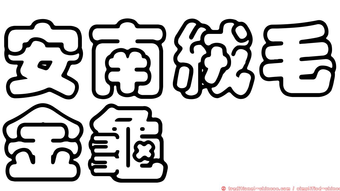 安南絨毛金龜