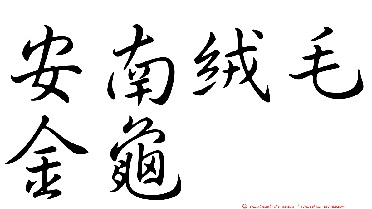 安南絨毛金龜