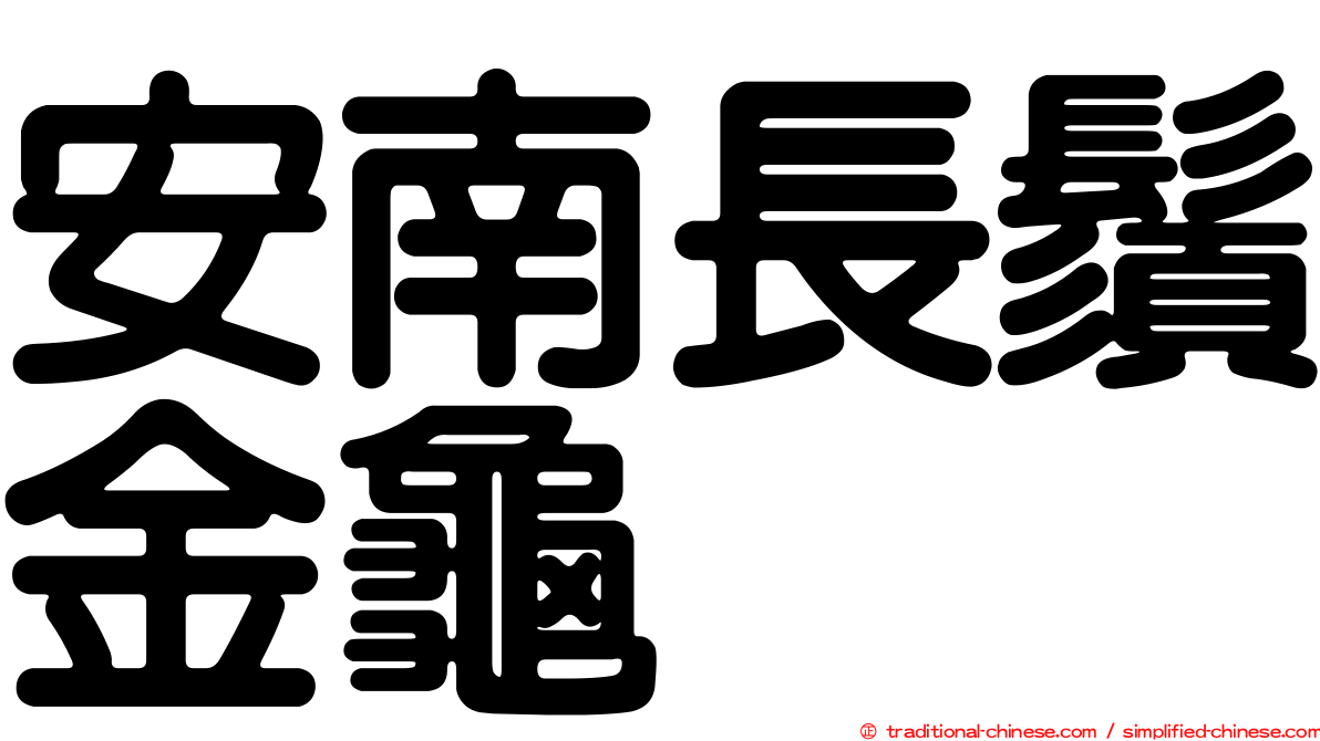 安南長鬚金龜