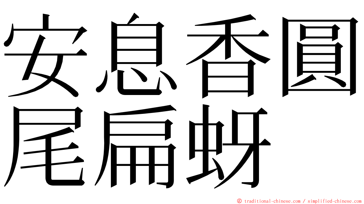 安息香圓尾扁蚜 ming font