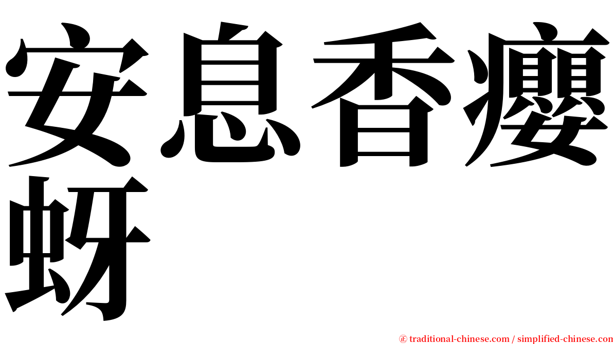 安息香癭蚜 serif font