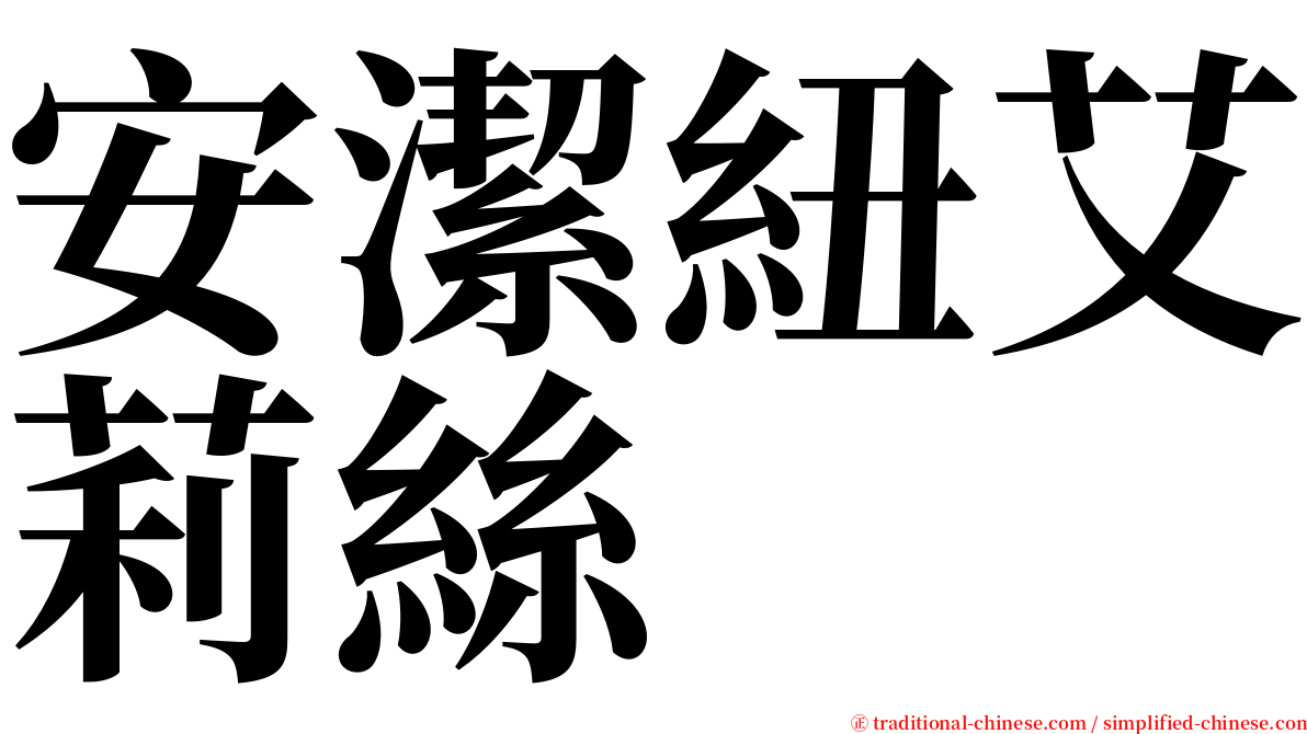 安潔紐艾莉絲 serif font