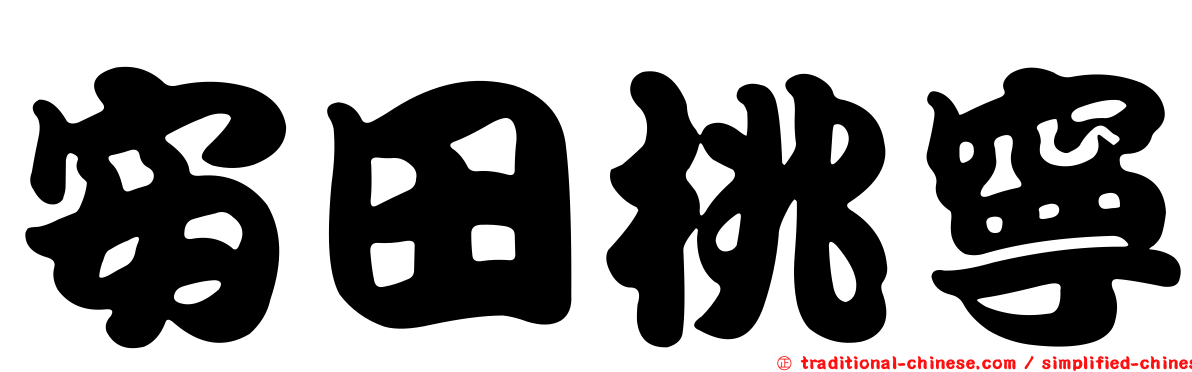 安田桃寧