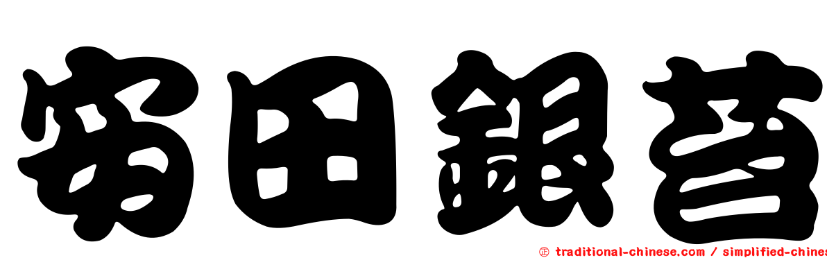 安田銀苔