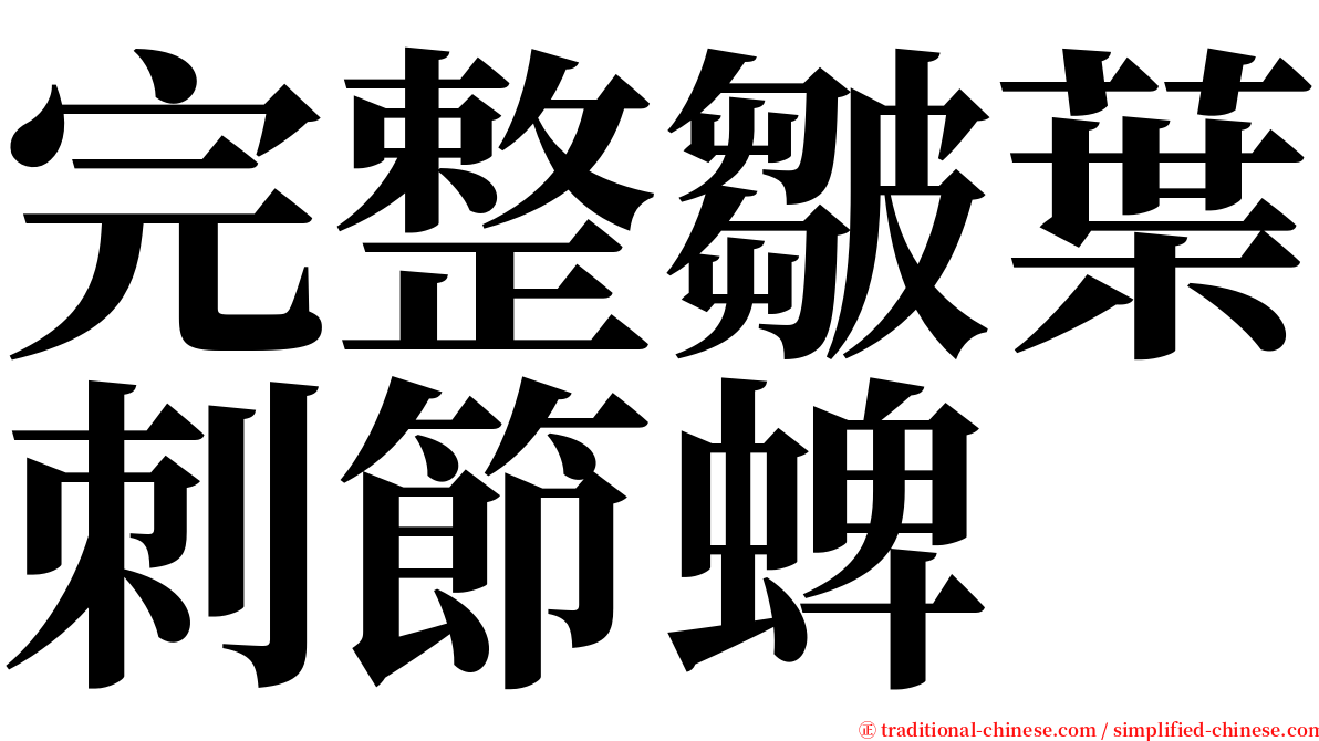 完整皺葉刺節蜱 serif font