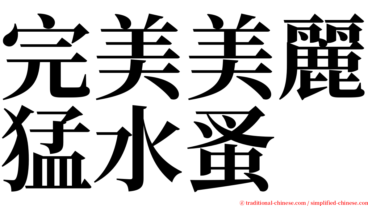 完美美麗猛水蚤 serif font