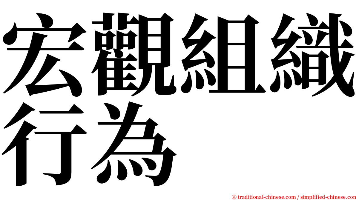 宏觀組織行為 serif font