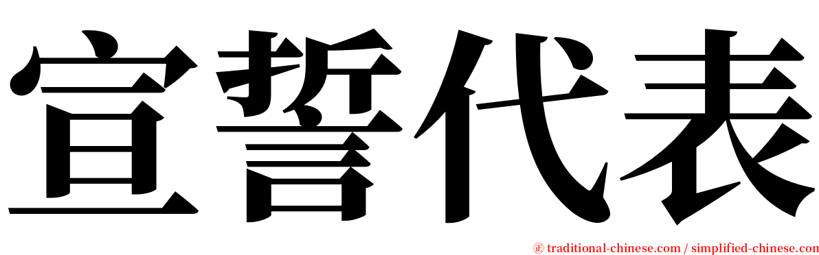 宣誓代表 serif font