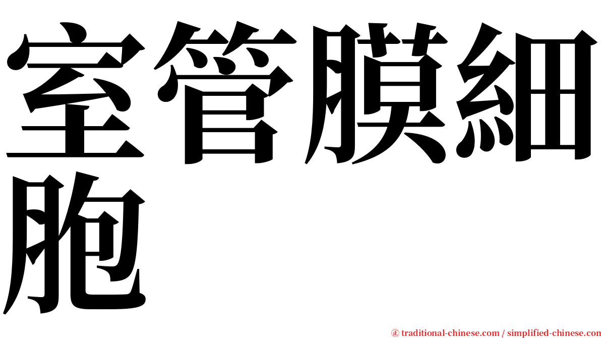 室管膜細胞 serif font