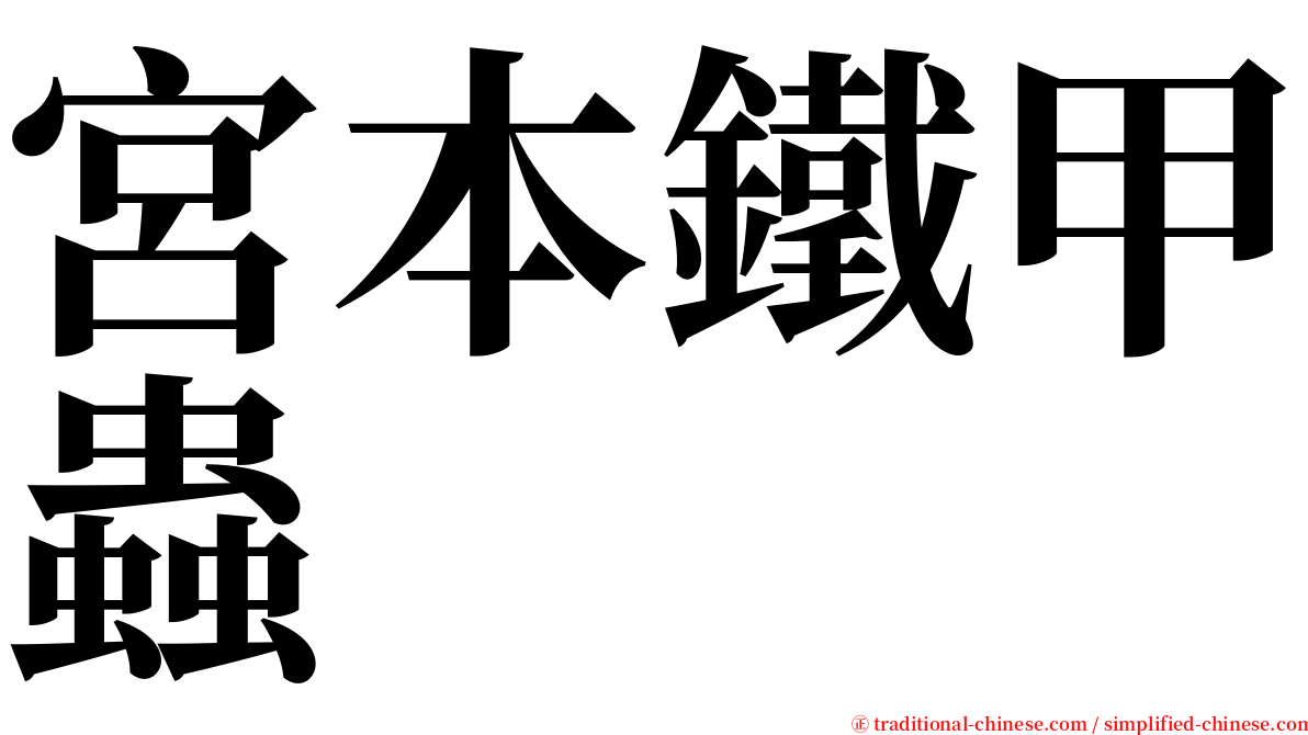 宮本鐵甲蟲 serif font