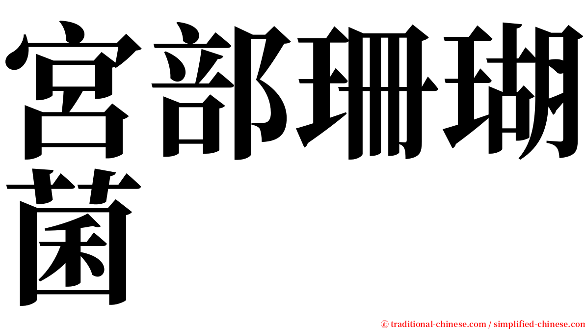 宮部珊瑚菌 serif font