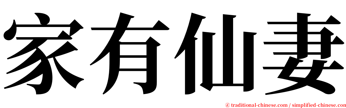 家有仙妻 serif font