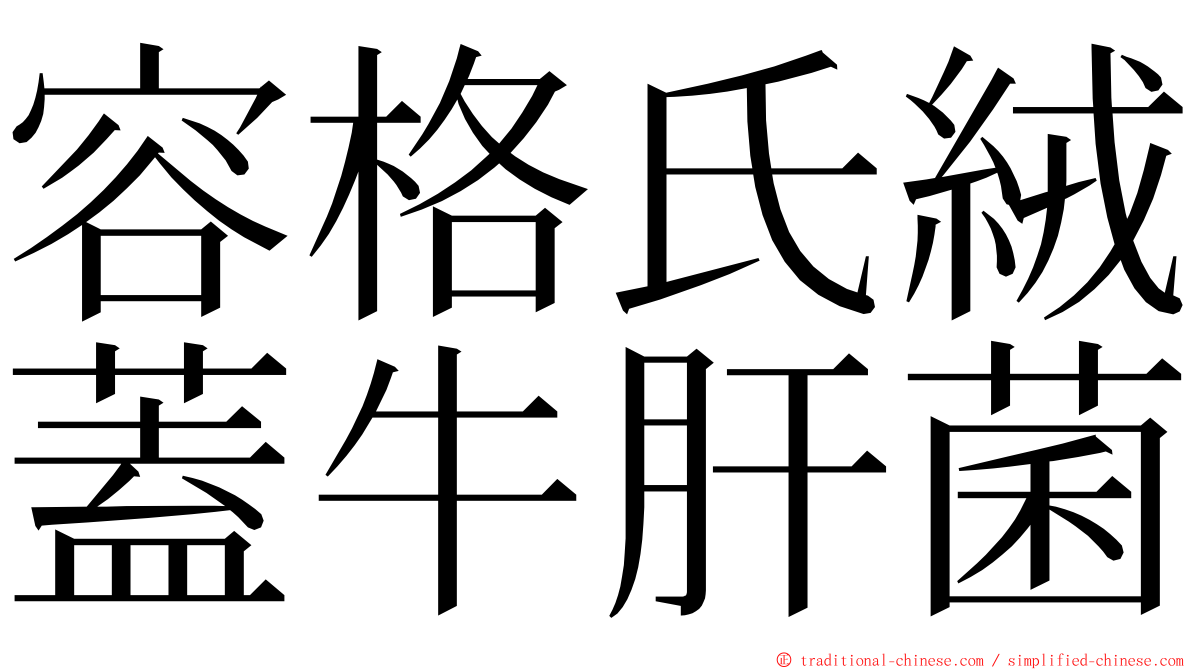 容格氏絨蓋牛肝菌 ming font