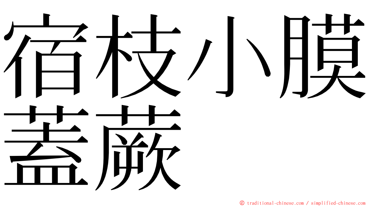 宿枝小膜蓋蕨 ming font