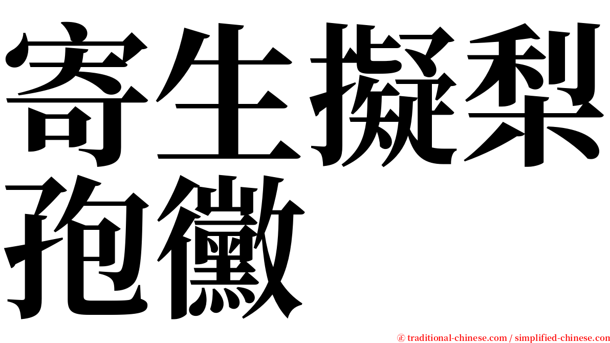 寄生擬梨孢黴 serif font