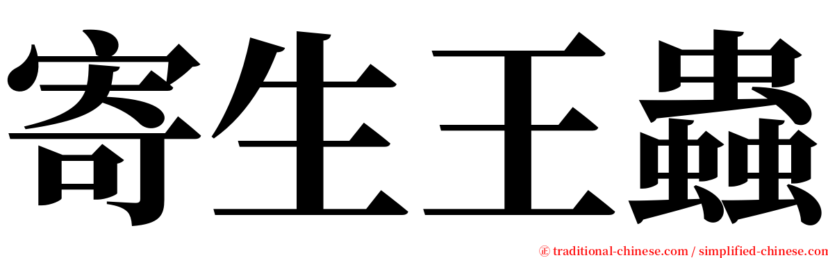 寄生王蟲 serif font