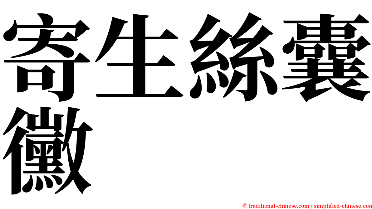 寄生絲囊黴 serif font