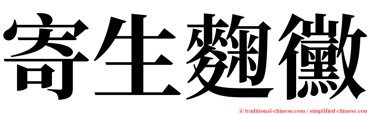 寄生麴黴 serif font