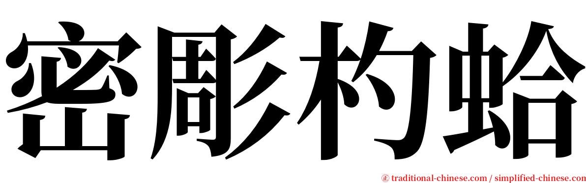 密彫杓蛤 serif font
