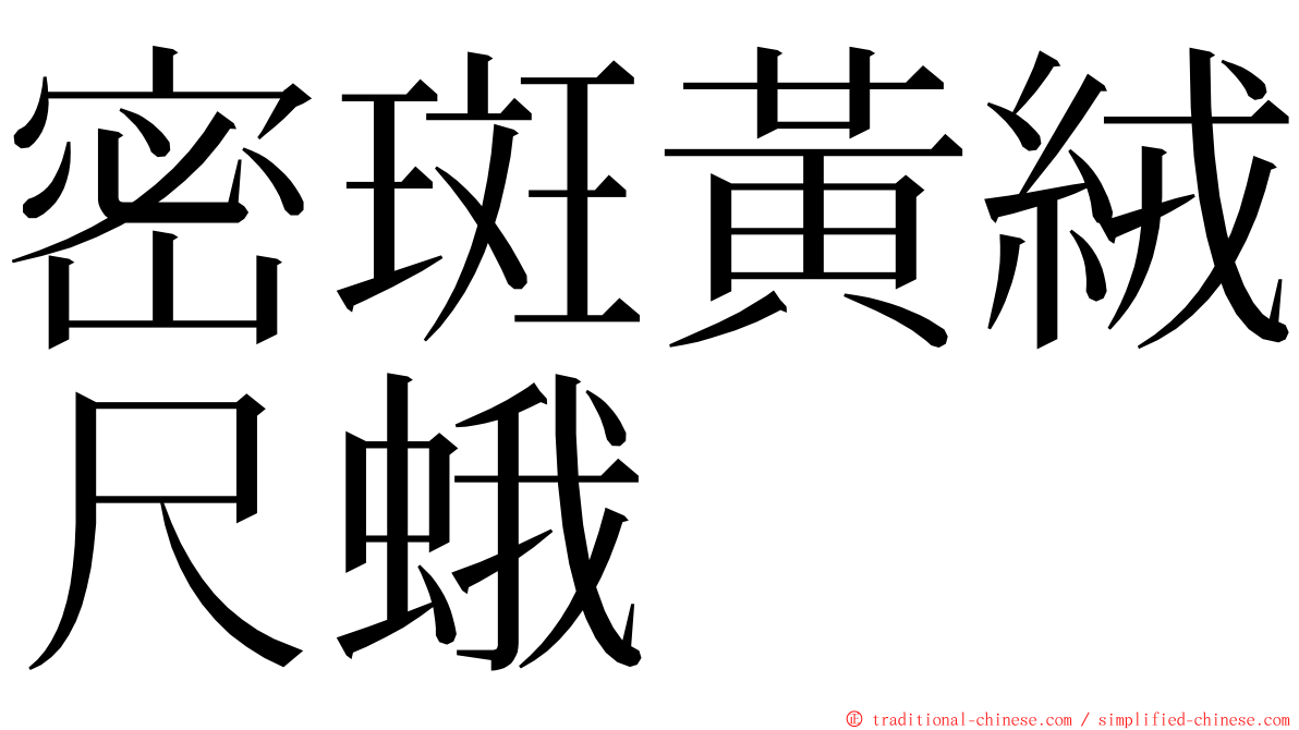 密斑黃絨尺蛾 ming font