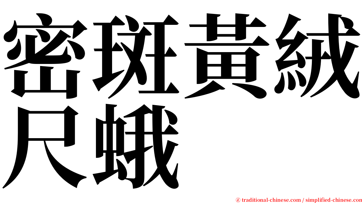 密斑黃絨尺蛾 serif font