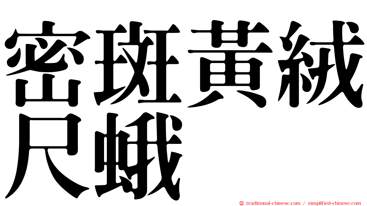 密斑黃絨尺蛾