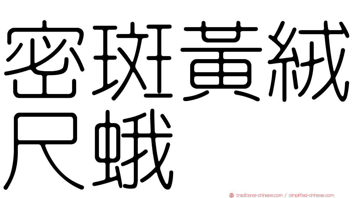 密斑黃絨尺蛾