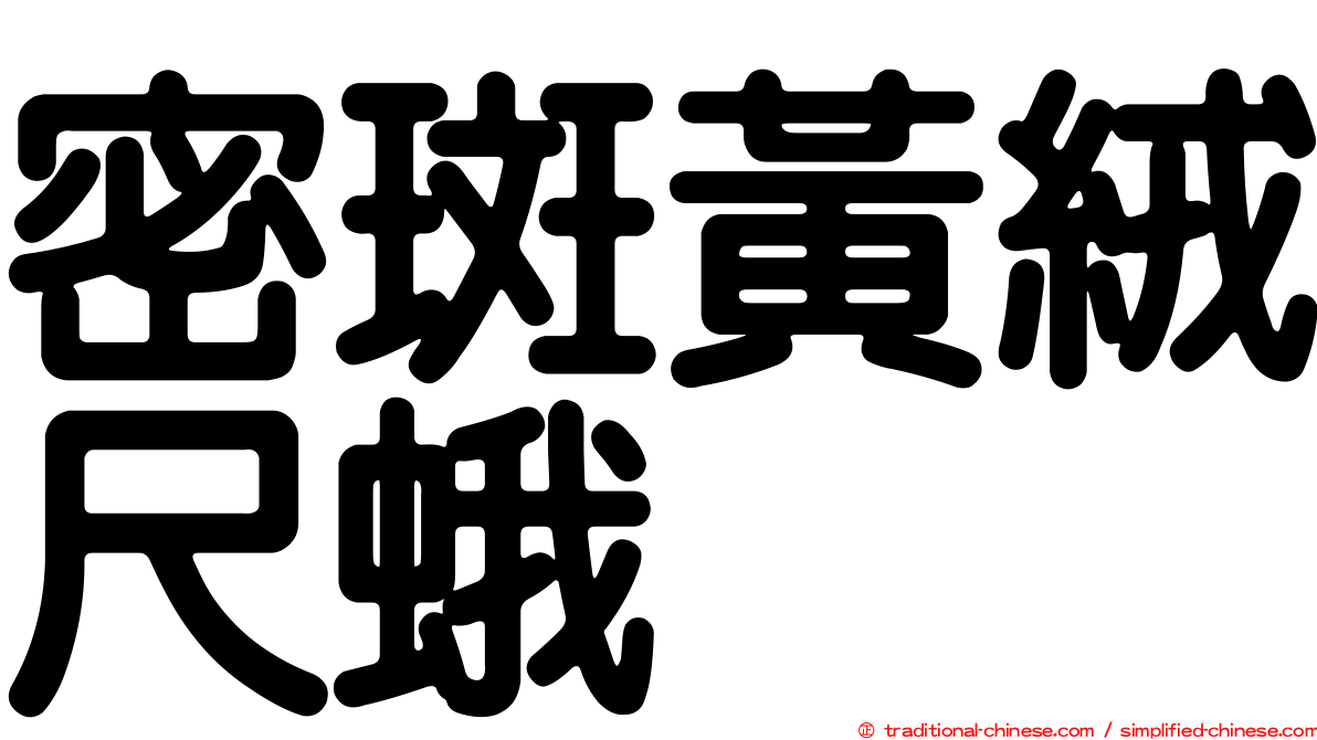 密斑黃絨尺蛾