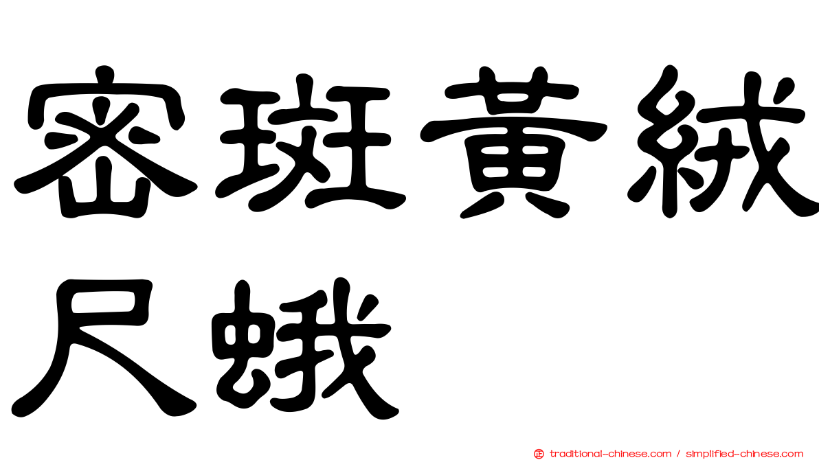 密斑黃絨尺蛾