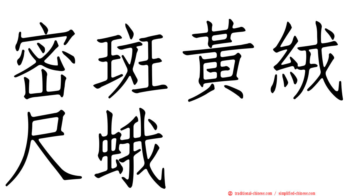 密斑黃絨尺蛾
