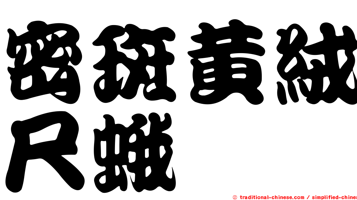 密斑黃絨尺蛾