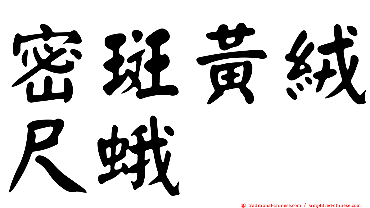 密斑黃絨尺蛾