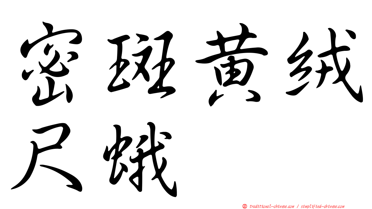 密斑黃絨尺蛾
