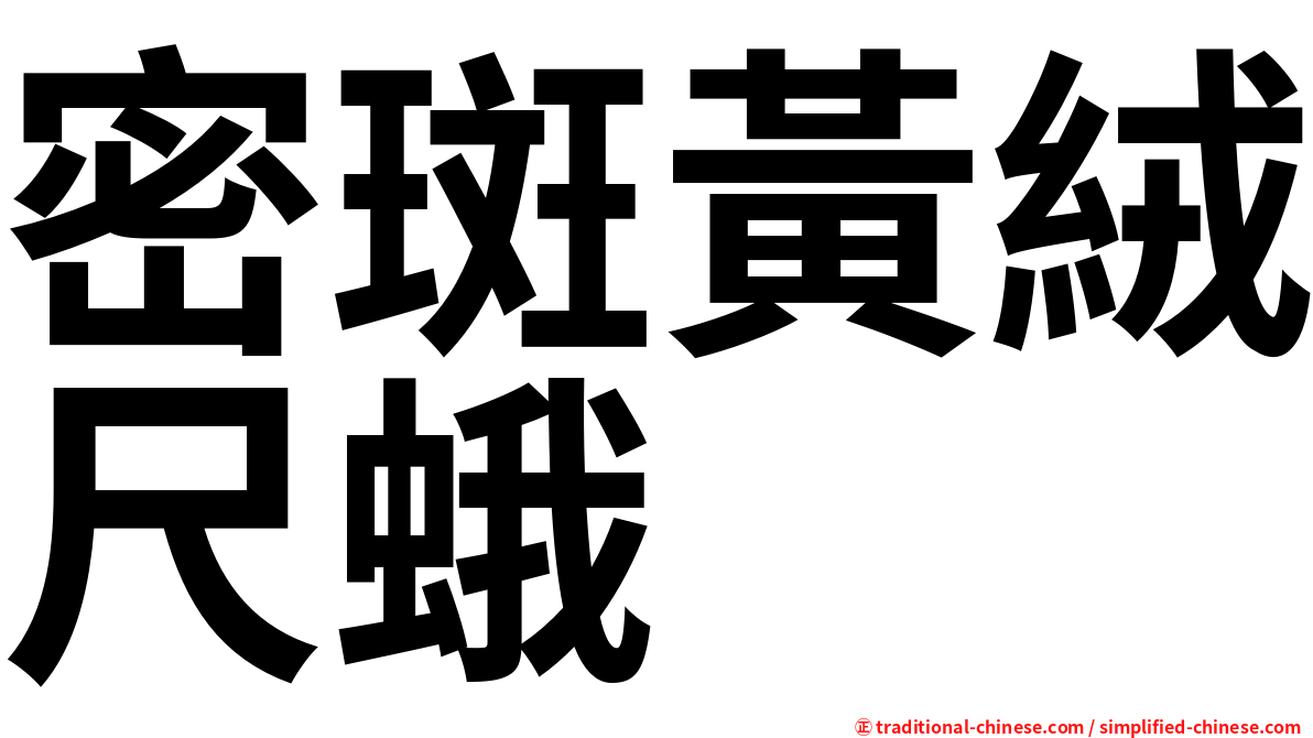 密斑黃絨尺蛾