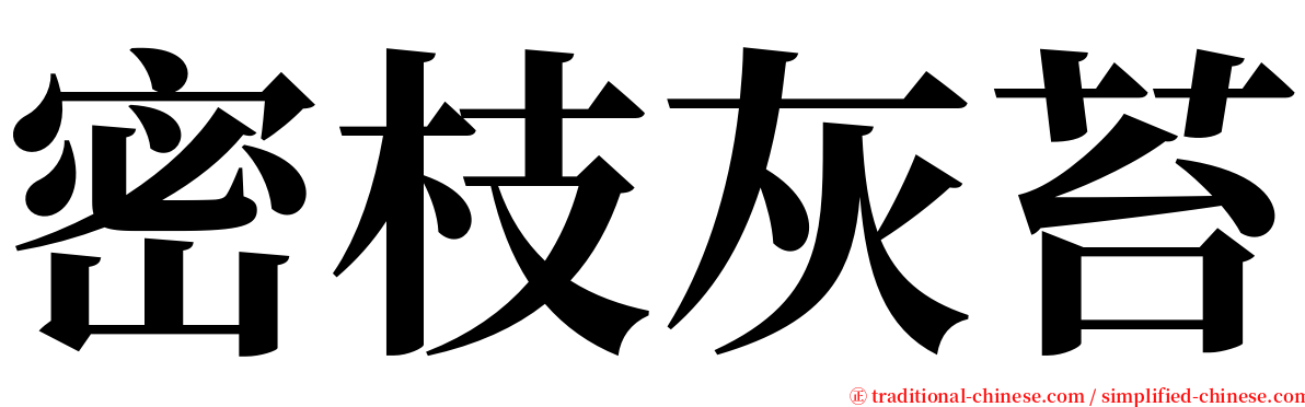 密枝灰苔 serif font