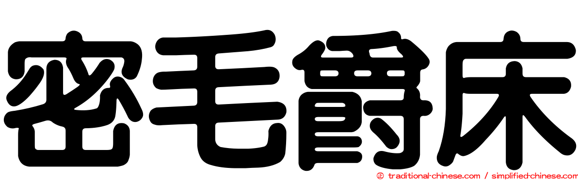密毛爵床