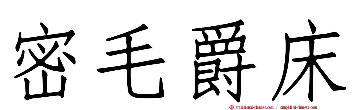 密毛爵床