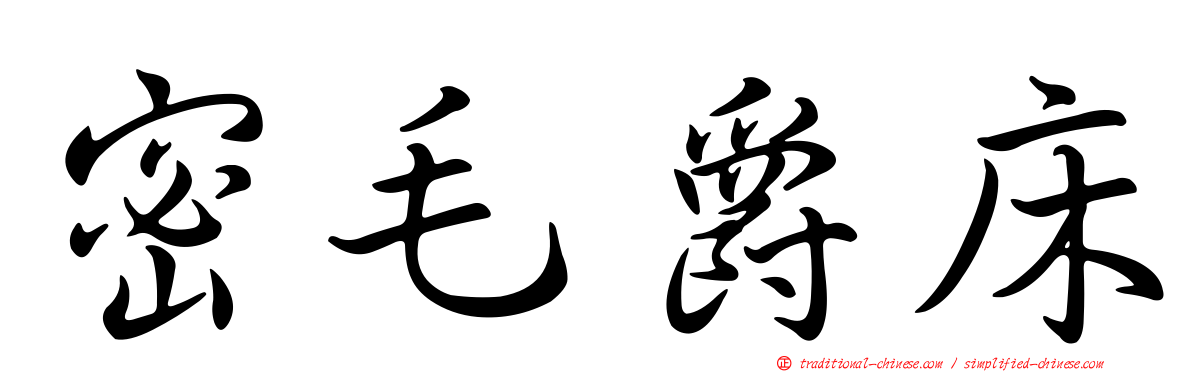 密毛爵床