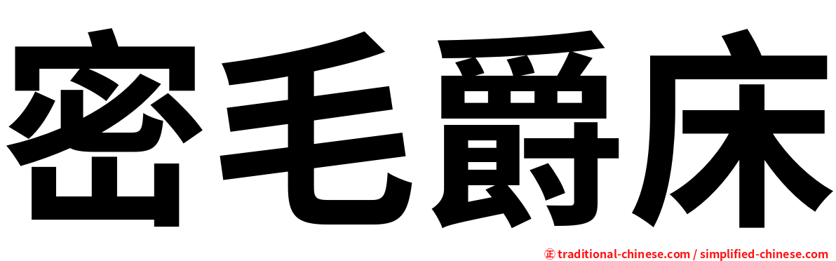 密毛爵床