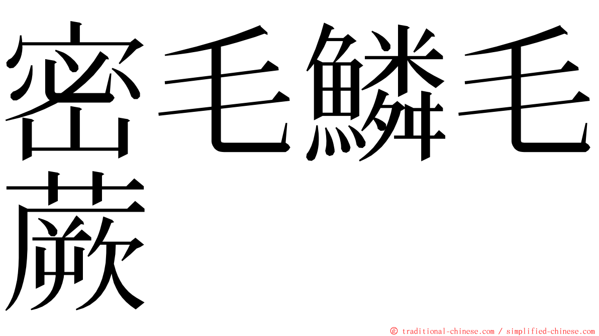 密毛鱗毛蕨 ming font