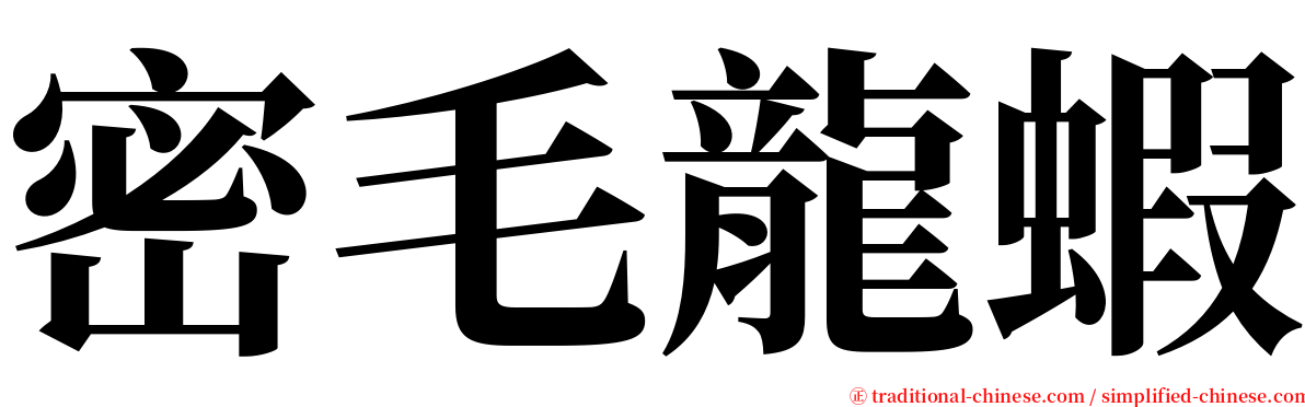 密毛龍蝦 serif font