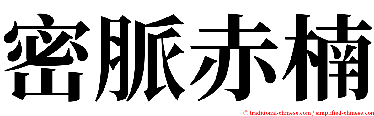 密脈赤楠 serif font