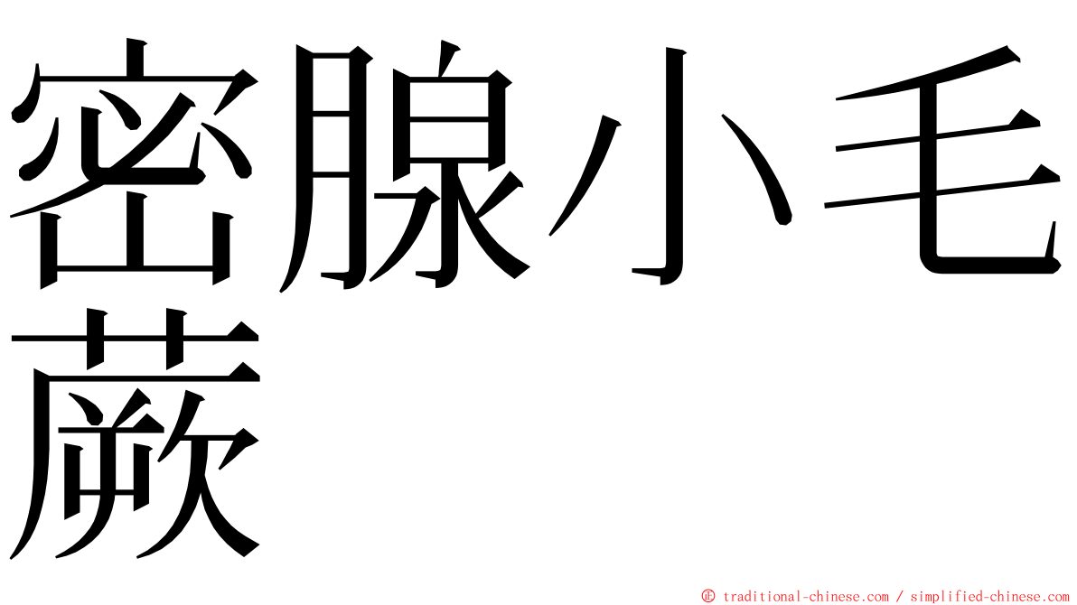 密腺小毛蕨 ming font